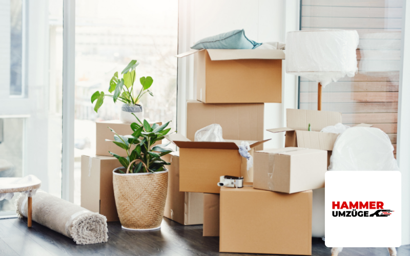 SEO Agentur Stuttgart Referenz Umzugsunternehmen